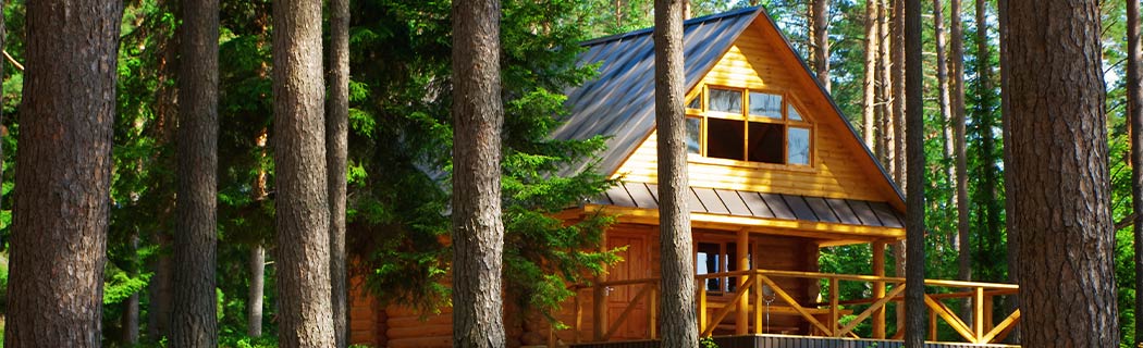 Chalet en bois situé en forêt l'été Chalet en bois situé en forêt l'été